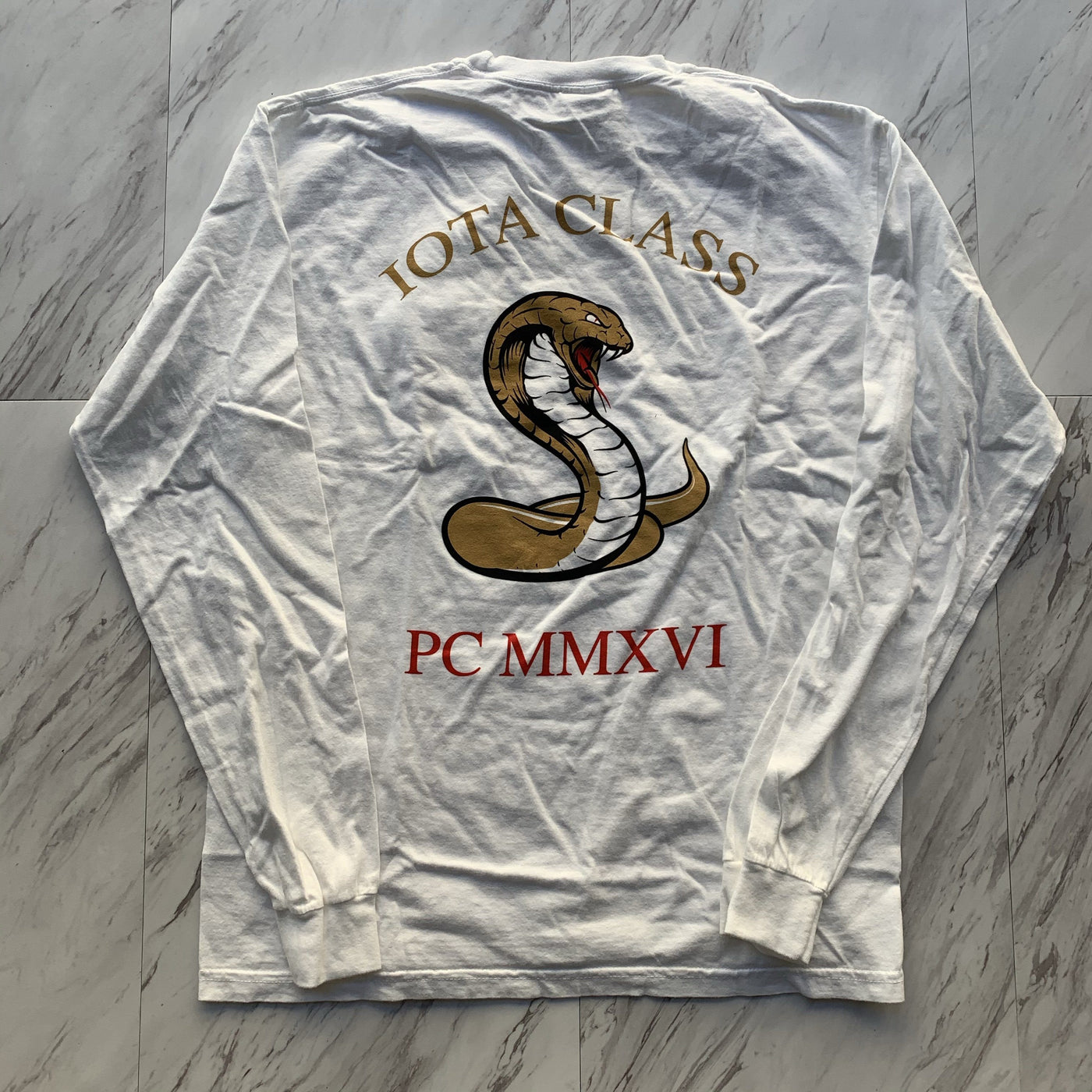 Theta Chi pledge class long sleeve