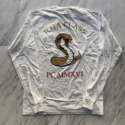 Theta Chi pledge class long sleeve