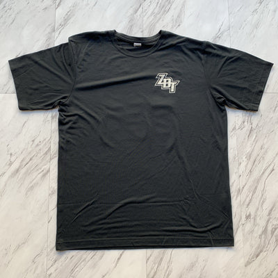 Zeta Beta Tau spring 18 tee