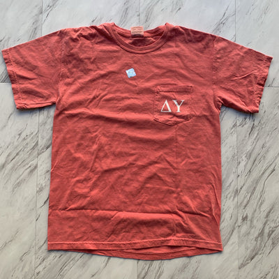 Delta Upsilon 2017 spring rush tee