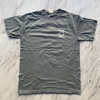 Phi Mu Alpha province 23 workshop tee
