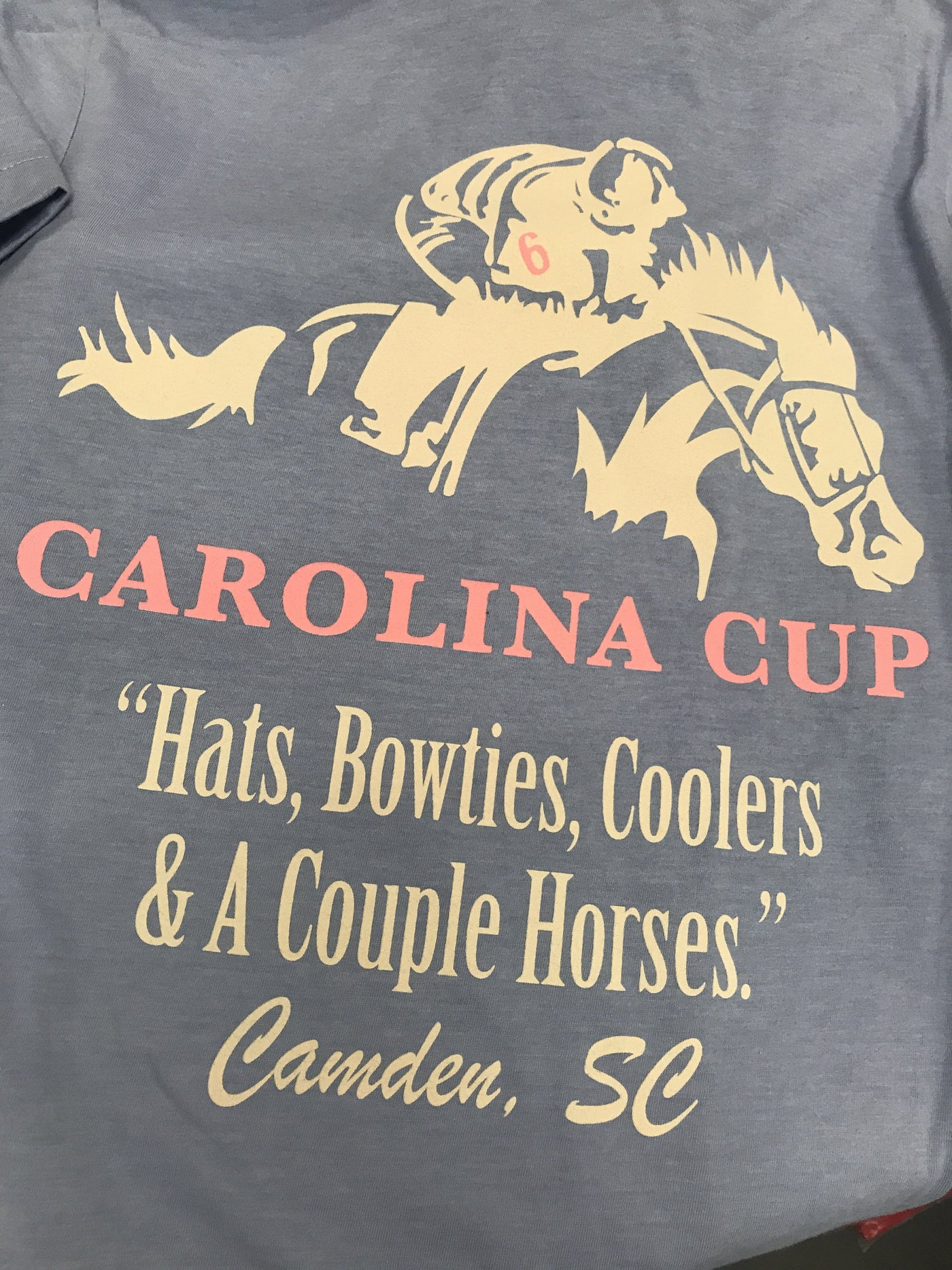 Pi kappa Phi & Alpha Xi Delta Carolina Cup Tee