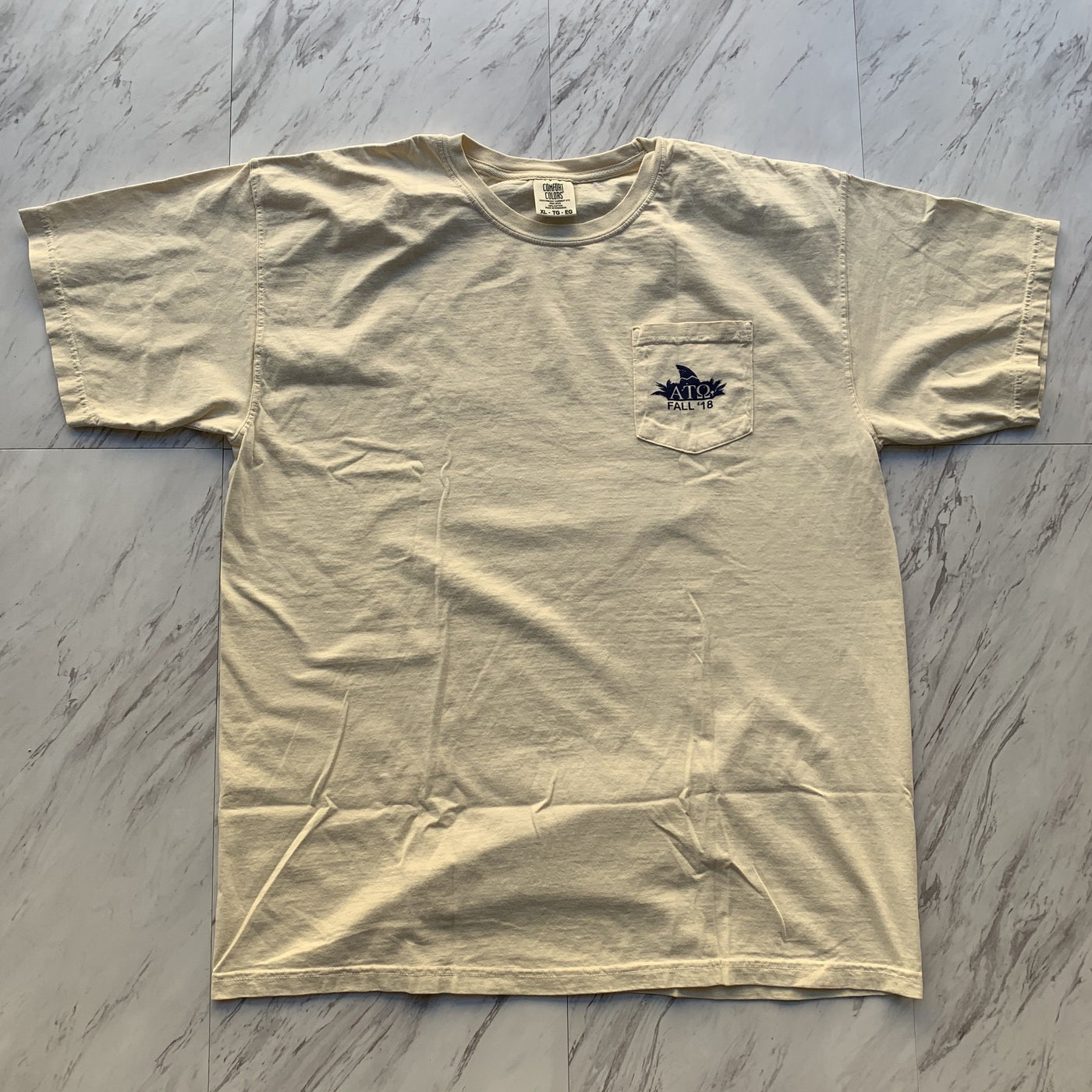 Alpha Tau Omega 2018 fall bid day tee