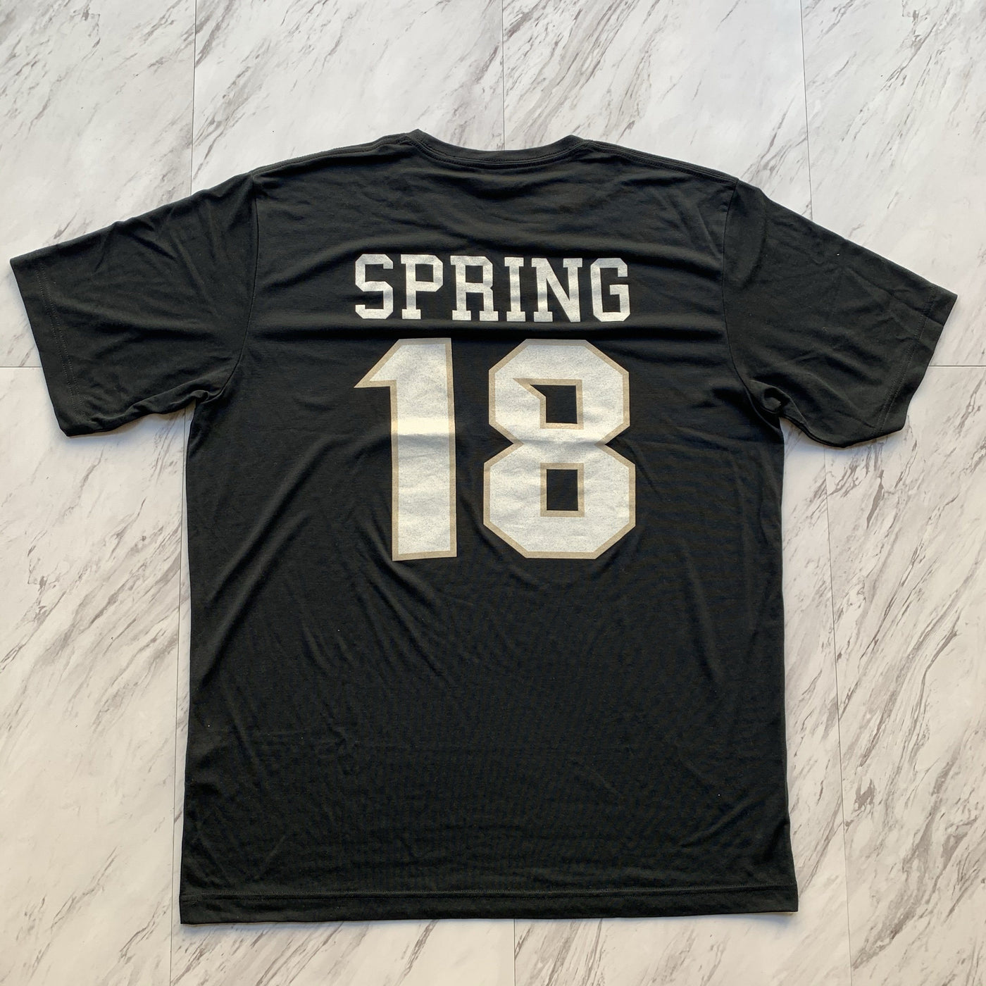 Zeta Beta Tau spring 18 tee