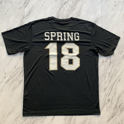 Zeta Beta Tau spring 18 tee