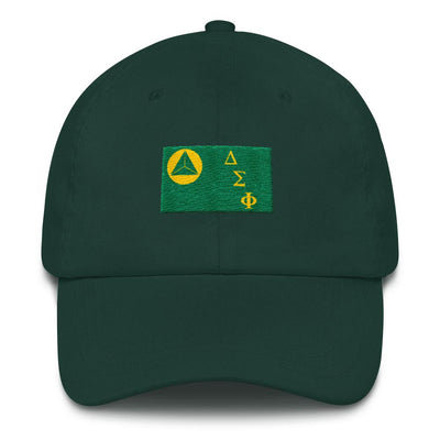ΔΣΦ Flag Dad Hat